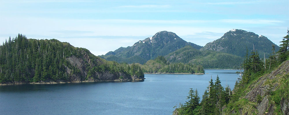 Exxon Valdez Oil Spill: Alaska