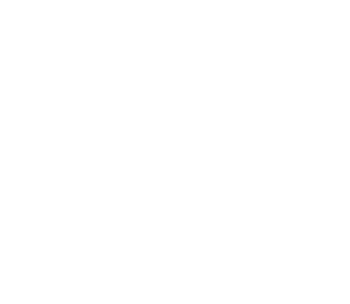 Integral Consulting