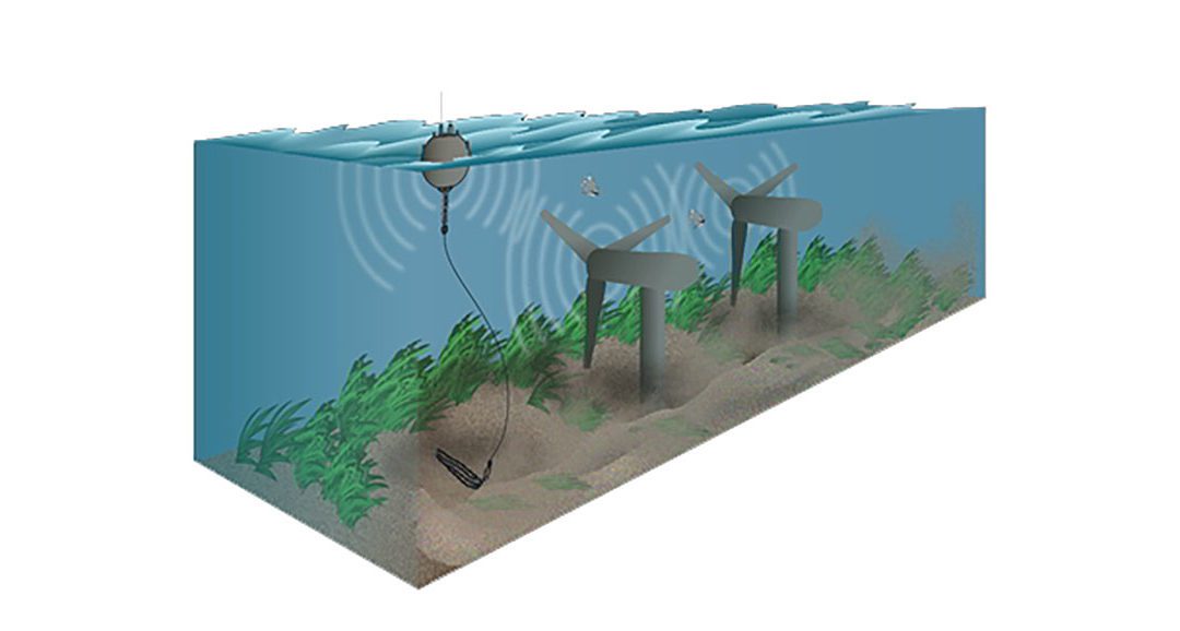 Acoustics Characterizing Noise Associated with Marine Energy