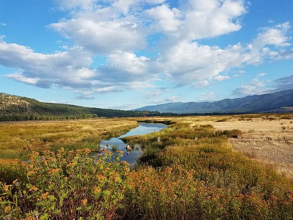 Natural Resource Damage Assessment of PFAS