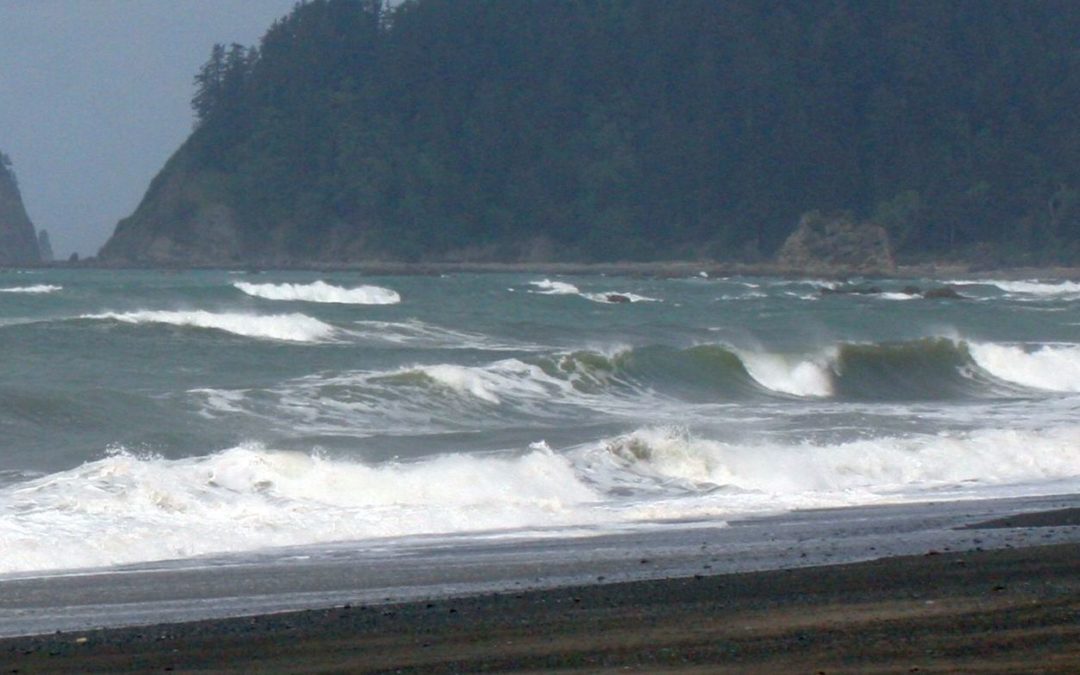 Share Your Expertise at the Ocean Waves Workshop at the University of New Orleans
