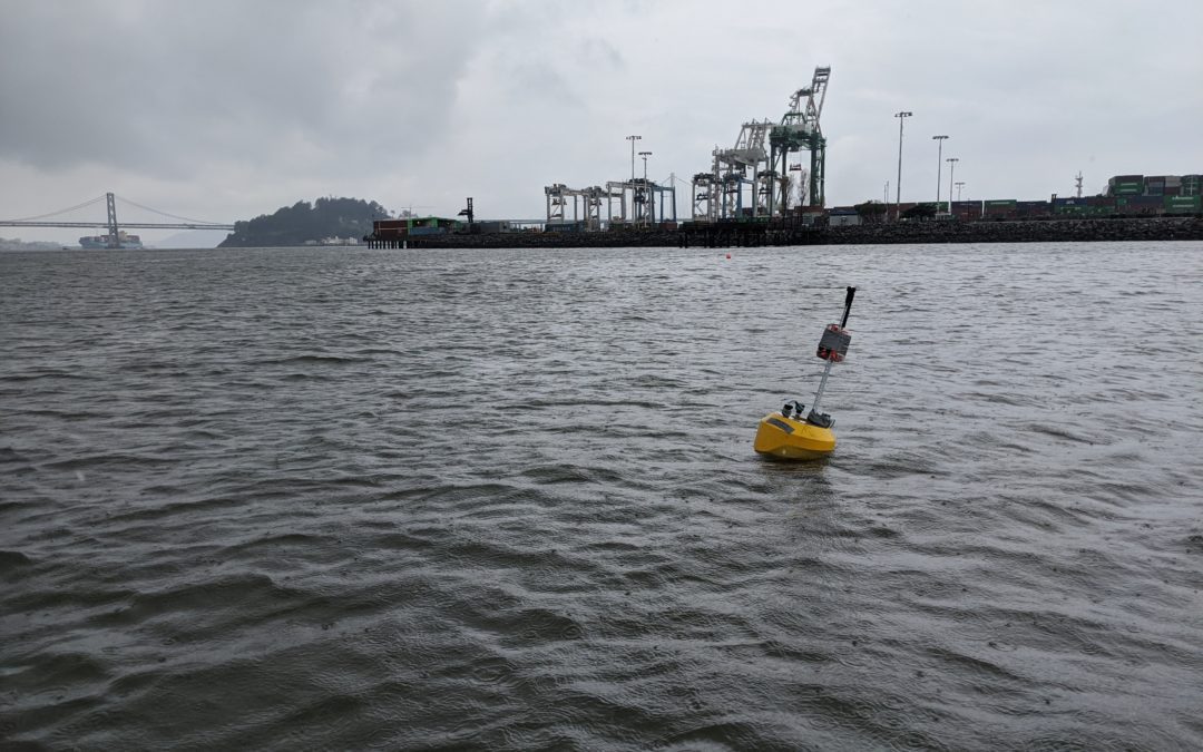 Integral Scientists Measure Changes to Soundscape during COVID-19