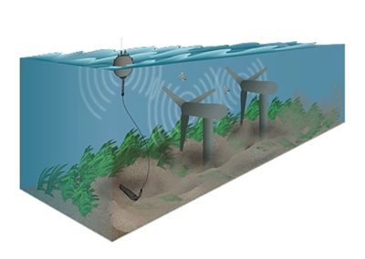 Acoustics Characterizing Noise Associated with Marine Energy