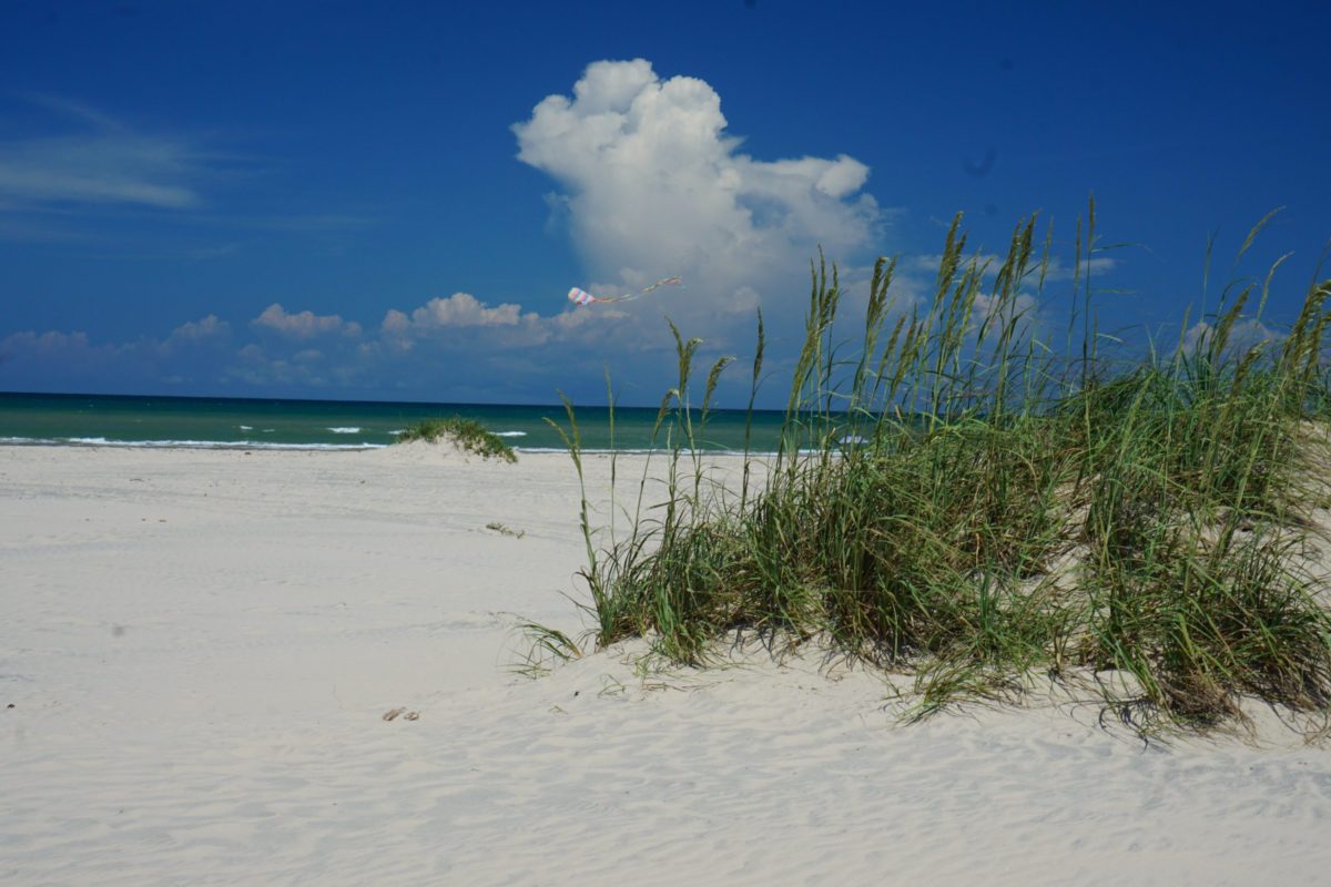 ocean and beach