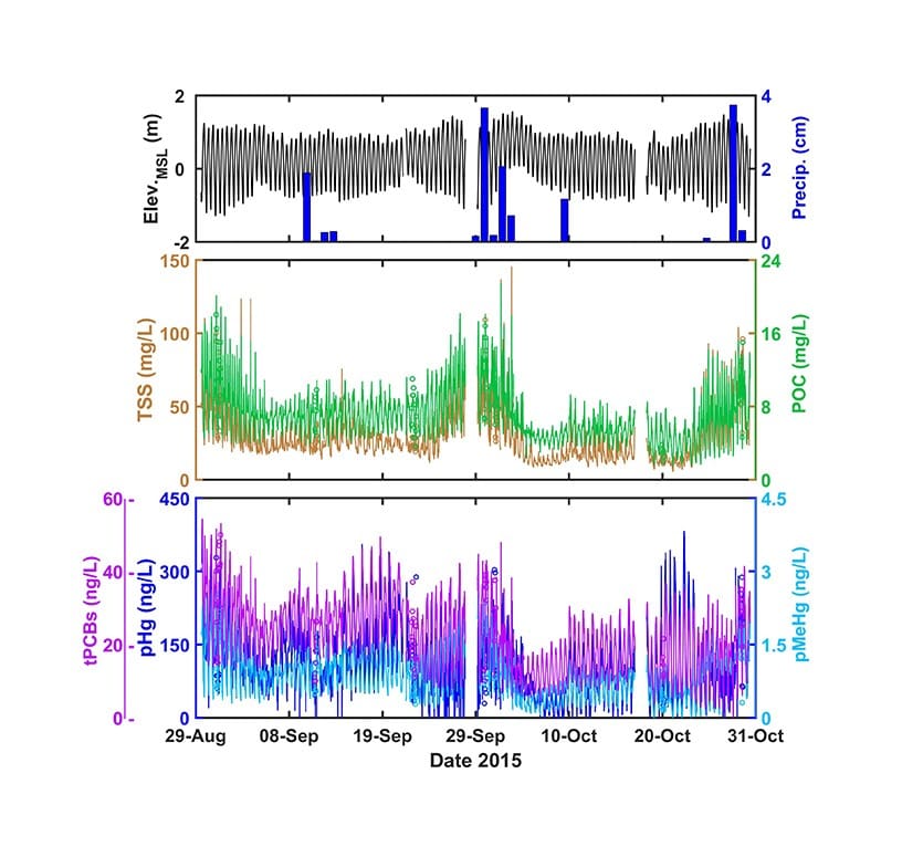 Metocean, Biogeochemical processes, Offshore energy, Coastal ecology, Hydrokinetic energy, Offshore wind farms, Environmental assessments, Sediment transport, Coastal engineering, Modeling