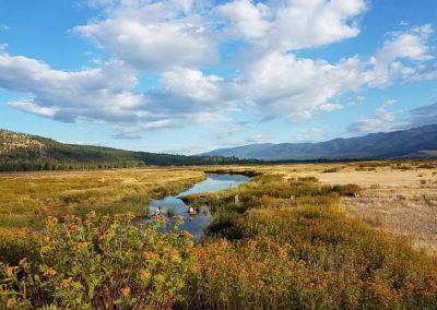 Natural Resource Damage Assessment of PFAS