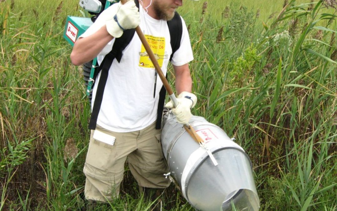 Ecological Wetland Assessment and Restoration