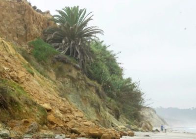 Sea Cliff Failure and Coastal Landslides