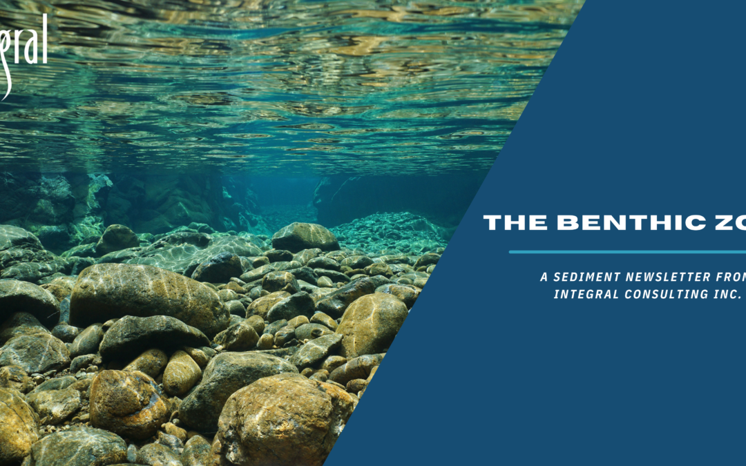 The Benthic Zone (January Edition): Integral’s Sediment Newsletter