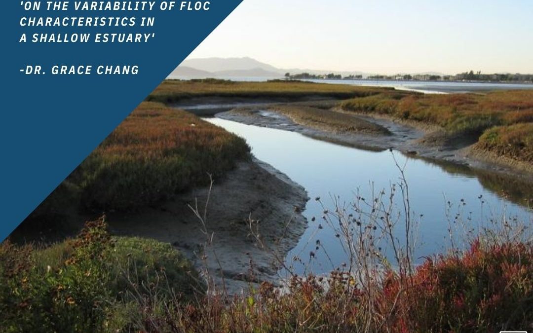 Grace Chang Coauthors Paper on the Variability of Floc Characteristics in a Shallow Estuary