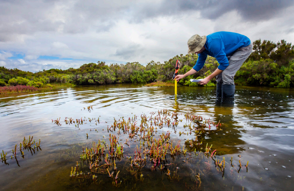 Wetlands may provide high-carbon storage potential to reduce GHGs.