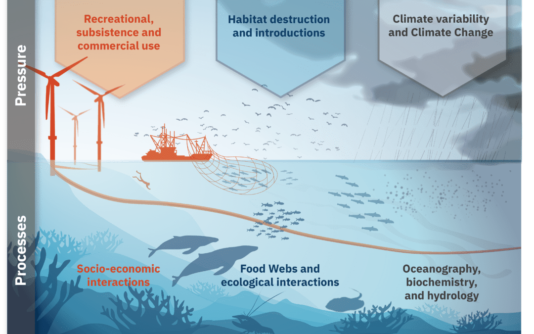 EMF Risks from Offshore Wind: A Complete Understanding