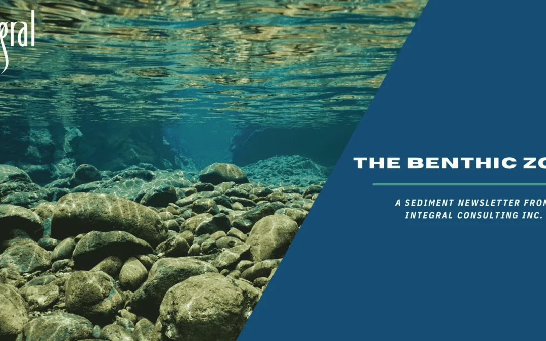 Latest Edition of Integral’s Sediment Newsletter: The Benthic Zone