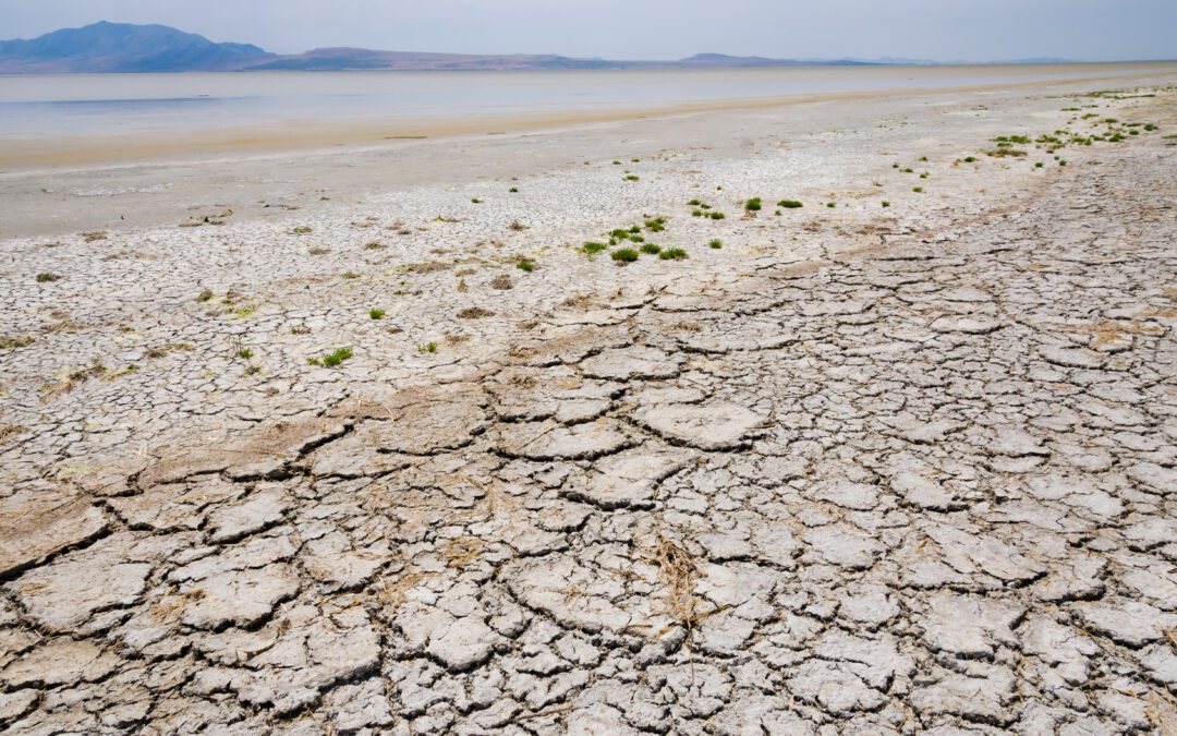 Emergency Measures Needed to Rescue Great Salt Lake from Ongoing Collapse