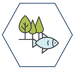 Natural Resource Damages Assessment PFAS Per- and Polyfluoroalkyl Substances PFAS Regulatory Criteria Map PFAS regulatory reference PFAS Regulatory Criteria Drinking Water Groundwater Surface Water Fish Tissue Soil Integral