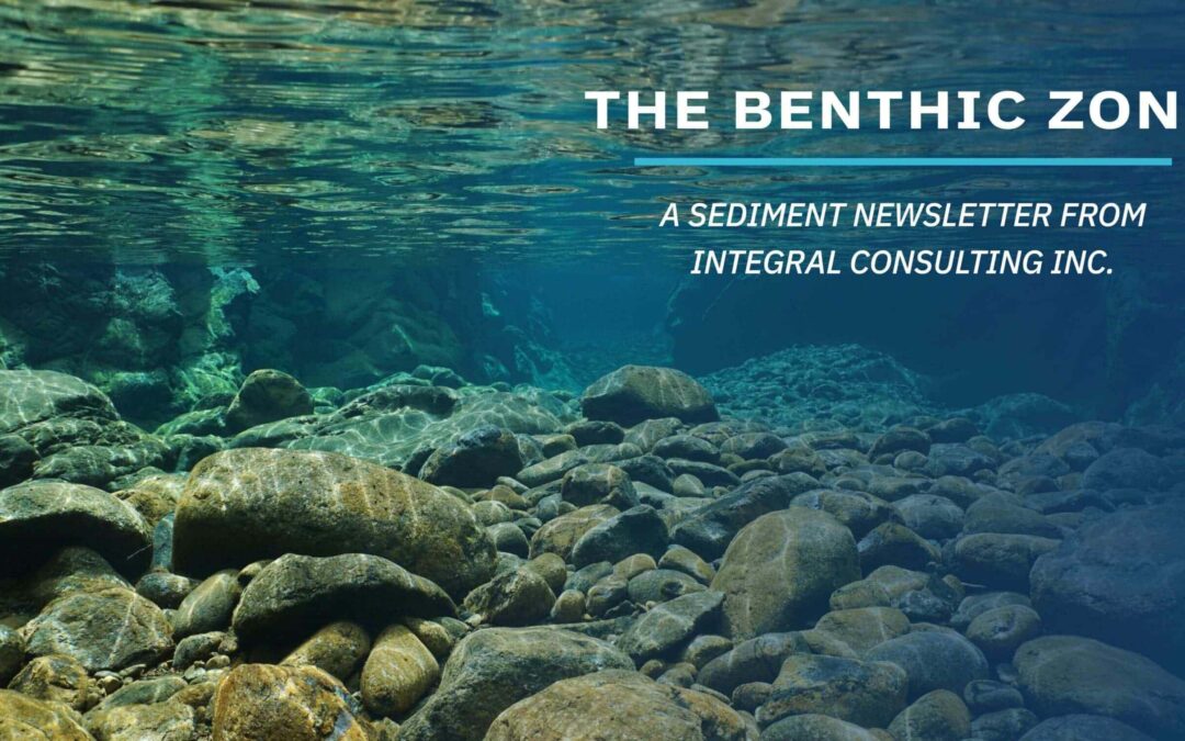 The Benthic Zone (September Edition): Integral’s Sediment Newsletter