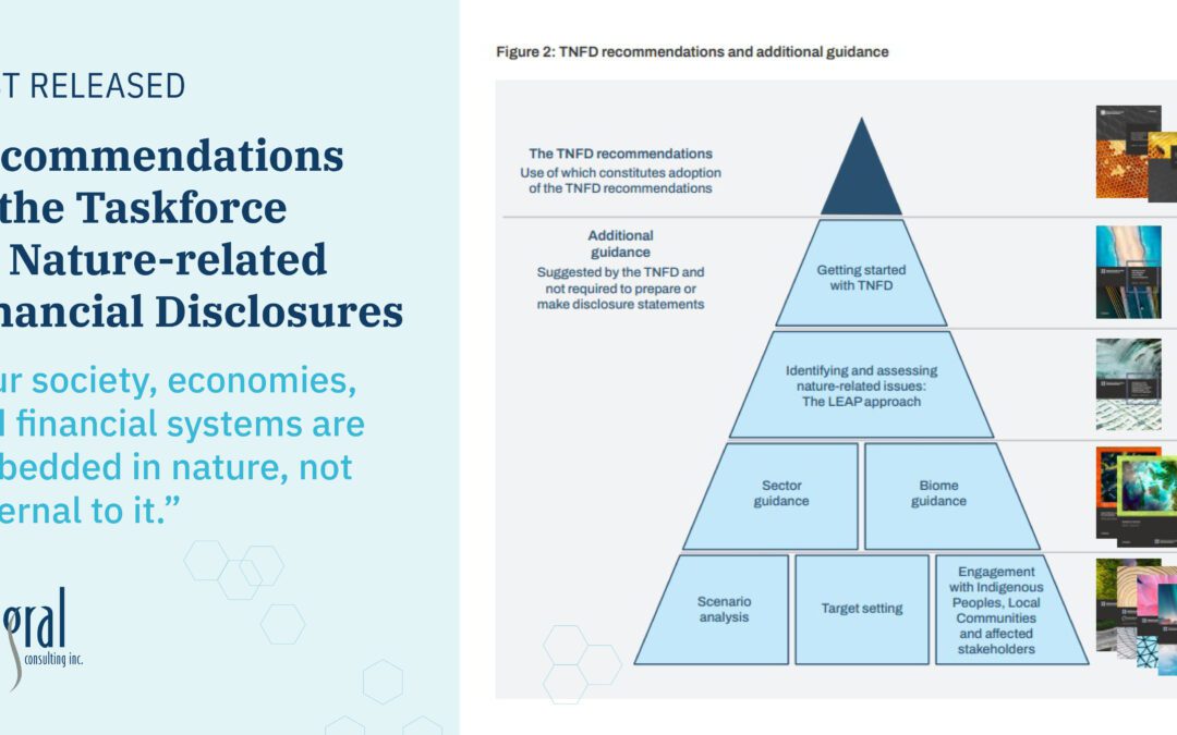 The Taskforce for Nature-related Financial Disclosures Has Released Its Final Guidance