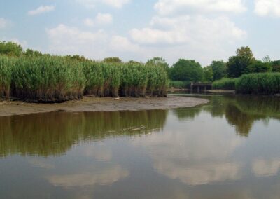 Strategic Remedial Investigation in a Tidal Embayment