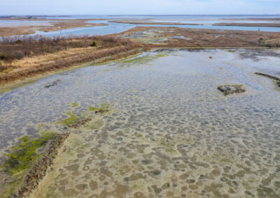 Complex Remedial Design in a River Estuary