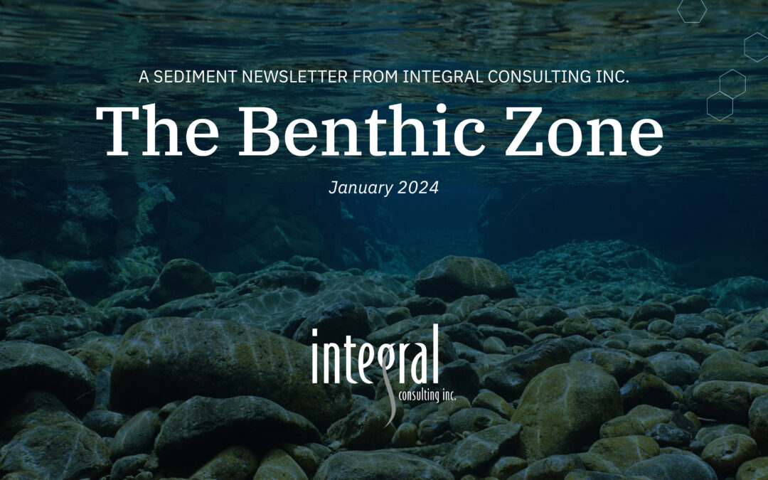 The Benthic Zone (January 2024 Edition): Integral’s Sediment Newsletter