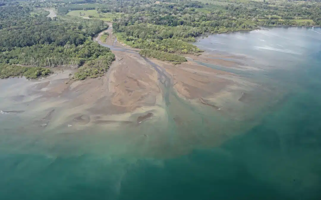 Understanding PFAS Behavior in Sediment