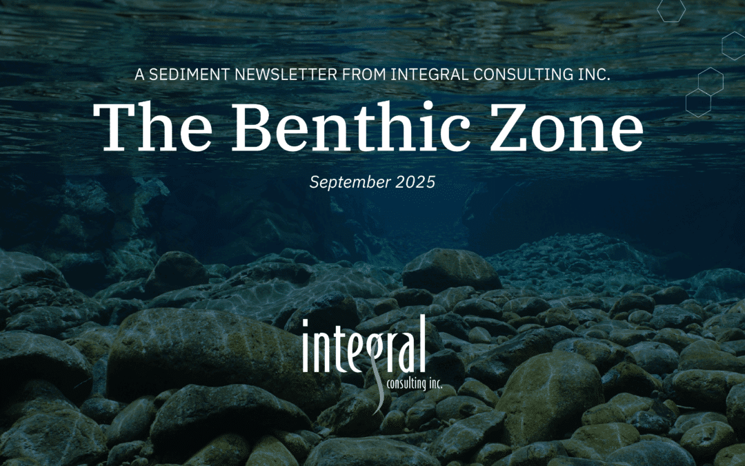 The Benthic Zone (September 2025 Edition): Integral’s Sediment Newsletter