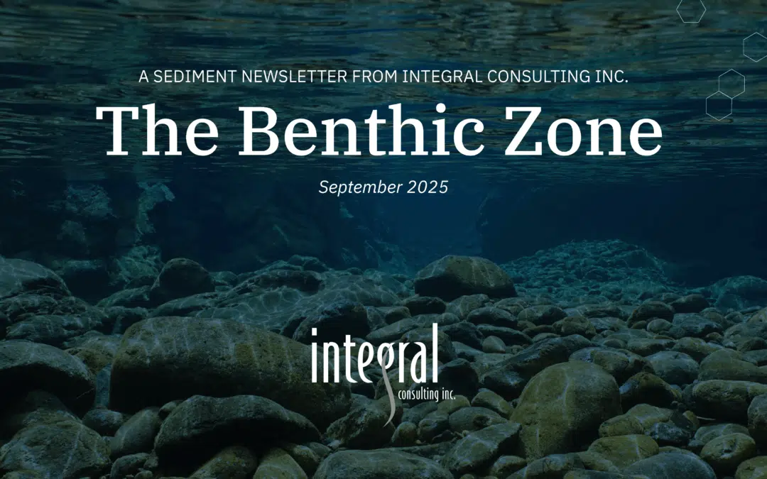 The Benthic Zone (September 2025 Edition): Integral’s Sediment Newsletter