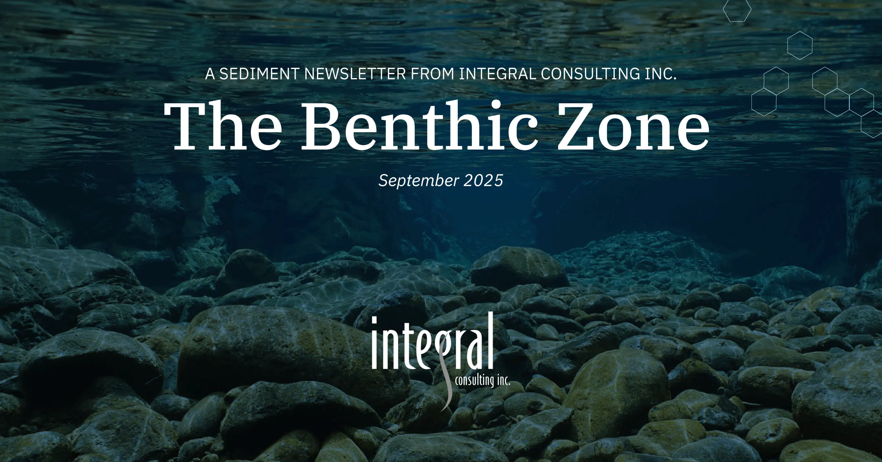 The Benthic Zone (September 2025 Edition): Integral’s Sediment Newsletter