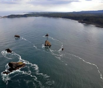 Redfish-Rocks-Marine-Reserve