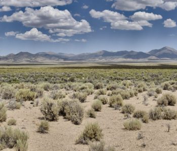 Fletcher Valley and the Wassuk Range in Mineral County, Nevada. Sagebrush scrub vegetation.